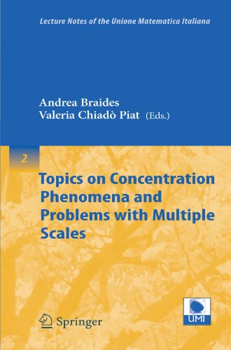 Topics On Concentration Phenomena And Problems With Multiple Scales 1st Edition Andrea Braides