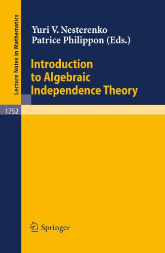 Introduction To Algebraic Independence Theory 1st Edition Yuri V Nesterenko