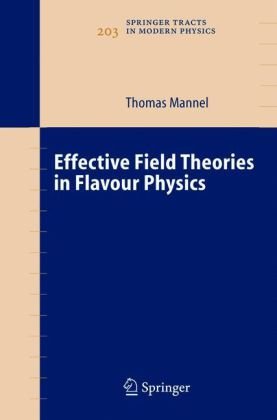 Effective Field Theories In Flavour Physics 1st Edition T Mannel Auth