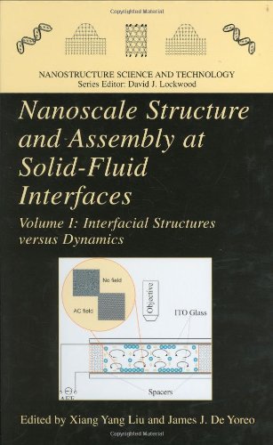 Nanoscale Structure And Assembly At Solidfluid Interfaces Interfacial Structures Versus Dynamics 1st Edition X Y Liu