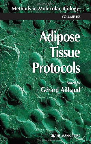Adipose Tissue Protocols 1st Edition Grard Ailhaud