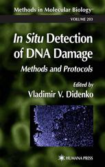 In Situ Detection Of Dna Damage Methods And Protocols 1st Vladimir V Didenko Ed