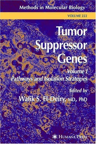 Tumor Suppressor Genes Volume 1 Pathways And Isolation Strategies 1st Edition Marco G Paggi