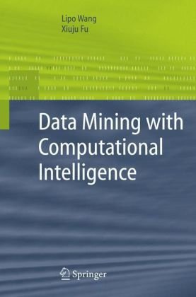 Data Mining With Computational Intelligence 1st Edition Lipo Wang