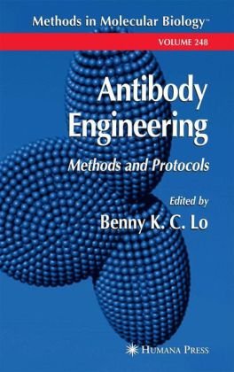 Antibody Engineering Methods And Protocols 1st Edition Benny K C Lo