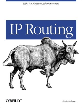 Ip Routing 1st Ed Ravi Malhotra
