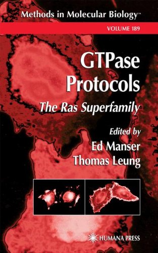 Gtpase Protocols The Ras Superfamily 1st Edition Ed Manser