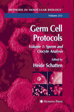 Germ Cell Protocols Volume 1 Sperm And Oocyte Analysis 1st Edition Franz Lahnsteiner Auth