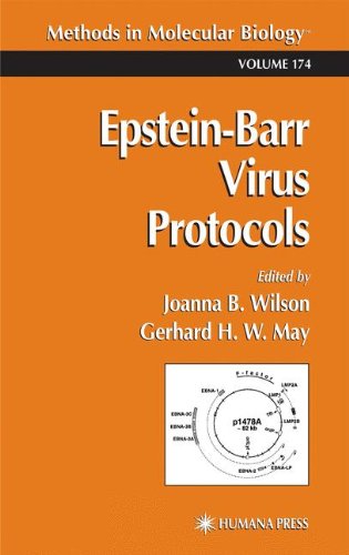 Epsteinbarr Virus Protocols 1st Edition Joanna B Wilson Gerhard H W May