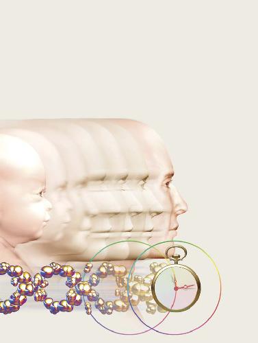 Can Dna Stop Time Number 3 Scientific American