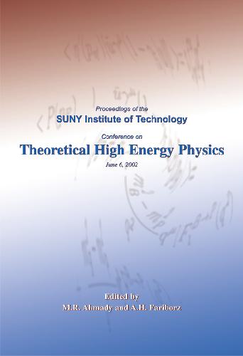 Proceedings Of The Suny Institute Of Technology Conference On Theoretical High Energy Physics June 6 2002 Illustrated Edition M R Ahmady