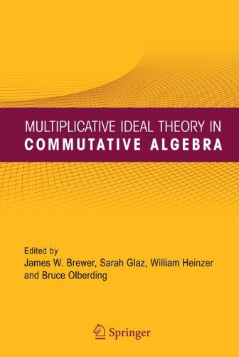 Multiplicative Ideal Theory In Commutative Algebra A Tribute To The Work Of Robert Gilmer 1st Edition James W Brewer
