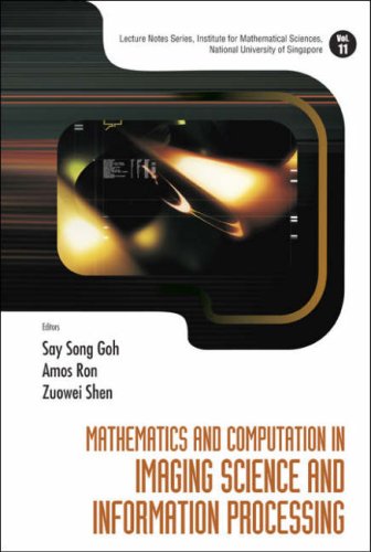 Mathematics And Computation In Imaging Science And Information Processing Say Song Goh