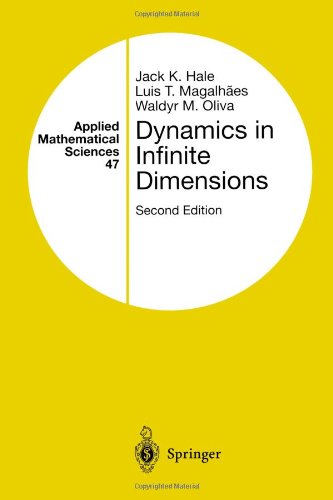 Dynamics In Infinite Dimensions 2nd Ed Jack K Hale Luis T Magalhaes