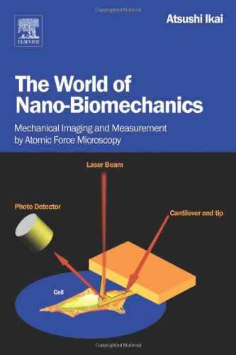 The World Of Nanobiomechanics Mechanical Imaging And Measurement By Atomic Force Microscopy 1st Edition Atsushi Ikai