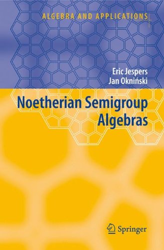 Noetherian Semigroup Algebras 1st Edition Eric Jespers Jan Okninski