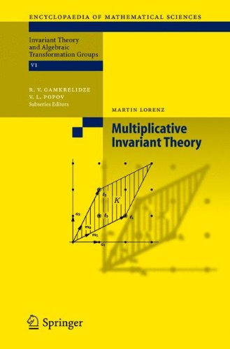 Multiplicative Invariant Theory 1st Edition Martin Lorenz