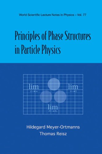 Principles Of Phase Structures In Particle Physics 1st Hildegard Meyerortmanns