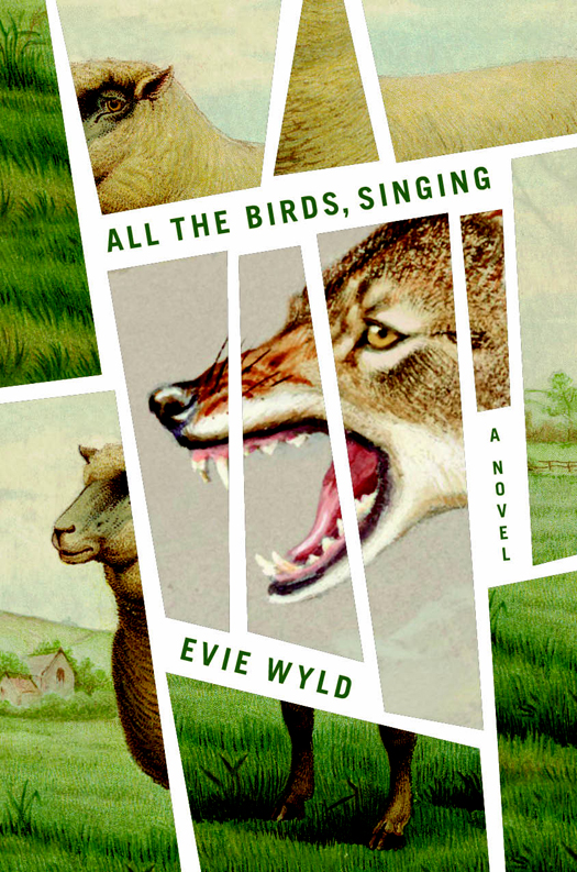 All The Birds Singing Evie Wyld