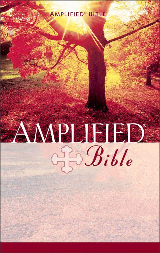 Amplified Bible Bibles Zondervan