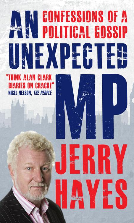 An Unexpected Mp Confessions Of A Political Gossip Hayes Jerry
