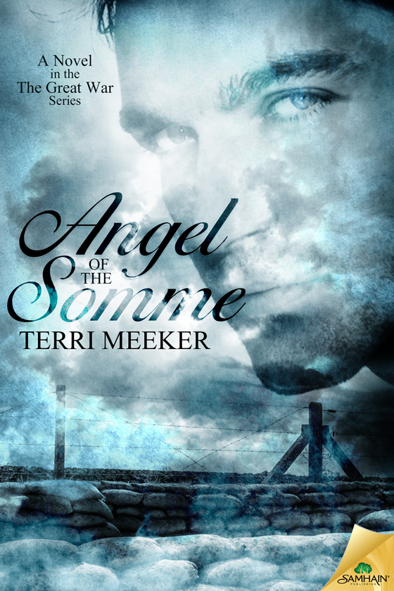 Angel Of The Somme The Great War Book 1 Terri Meeker