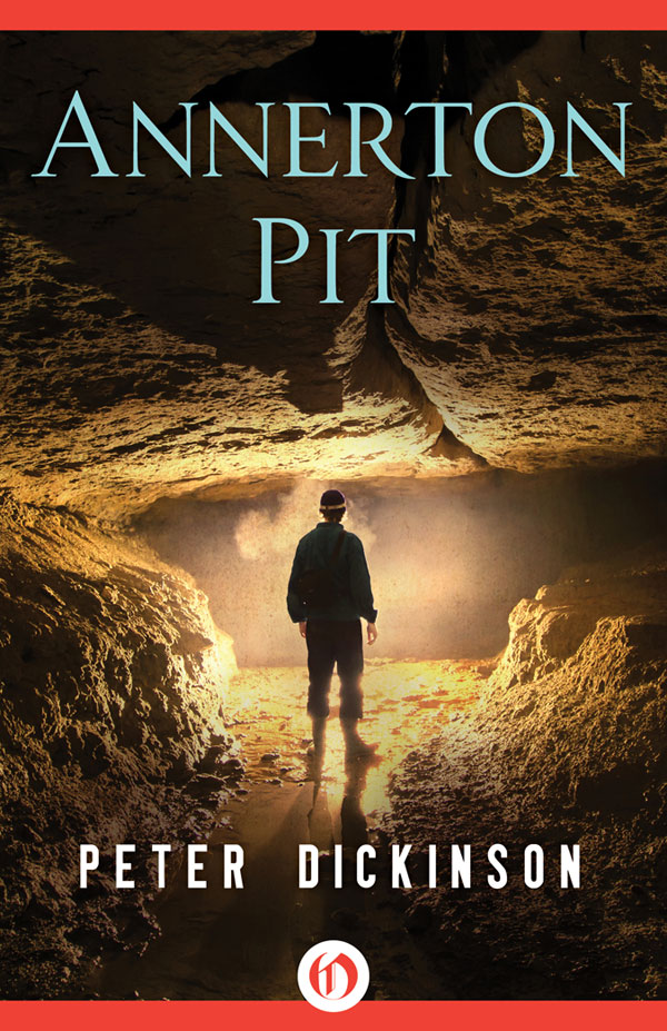 Annerton Pit Dickinson Peter