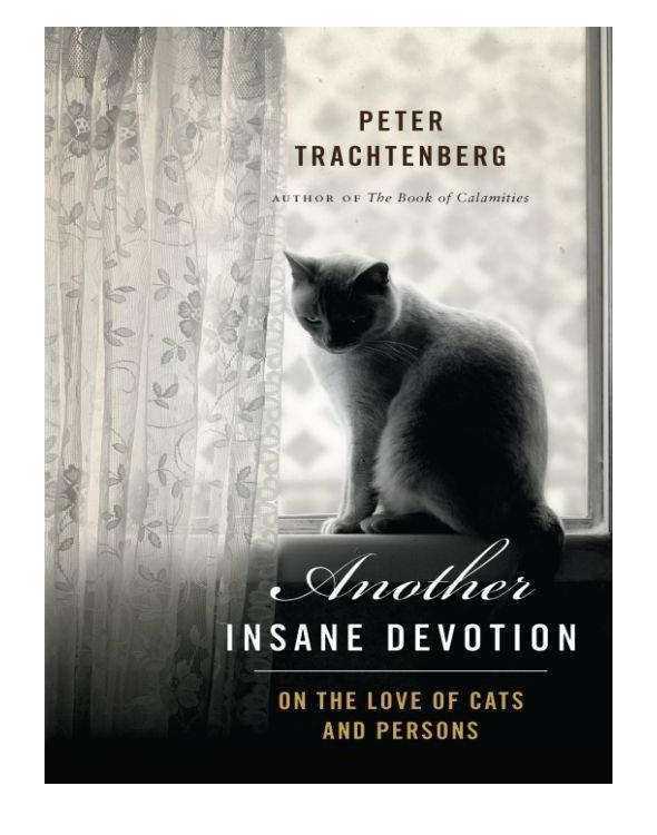 Another Insane Devotion On The Love Of Cats And Persons Trachtenberg Peter