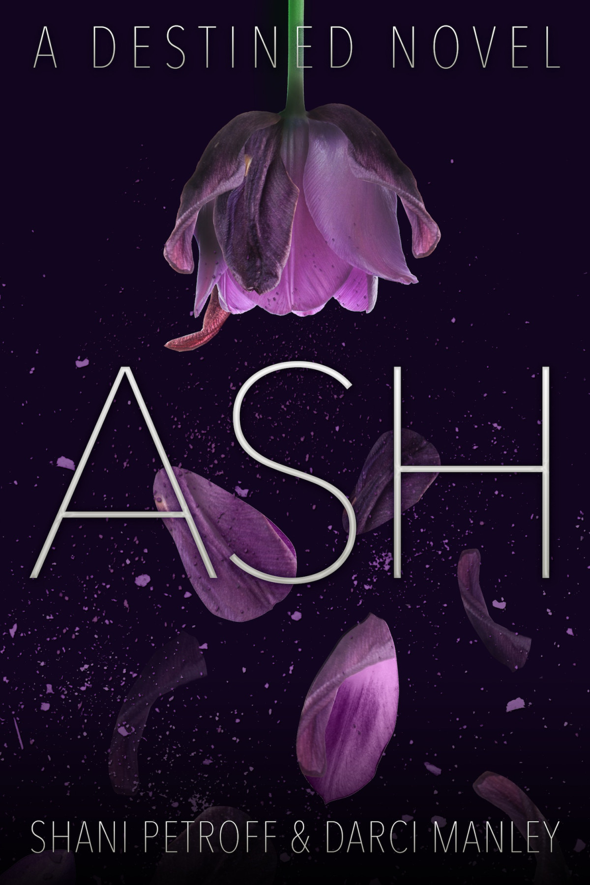 Ash Petroff Shani Manley Darci