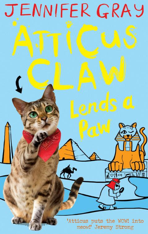 Atticus Claw Lends A Paw Gray Jennifer
