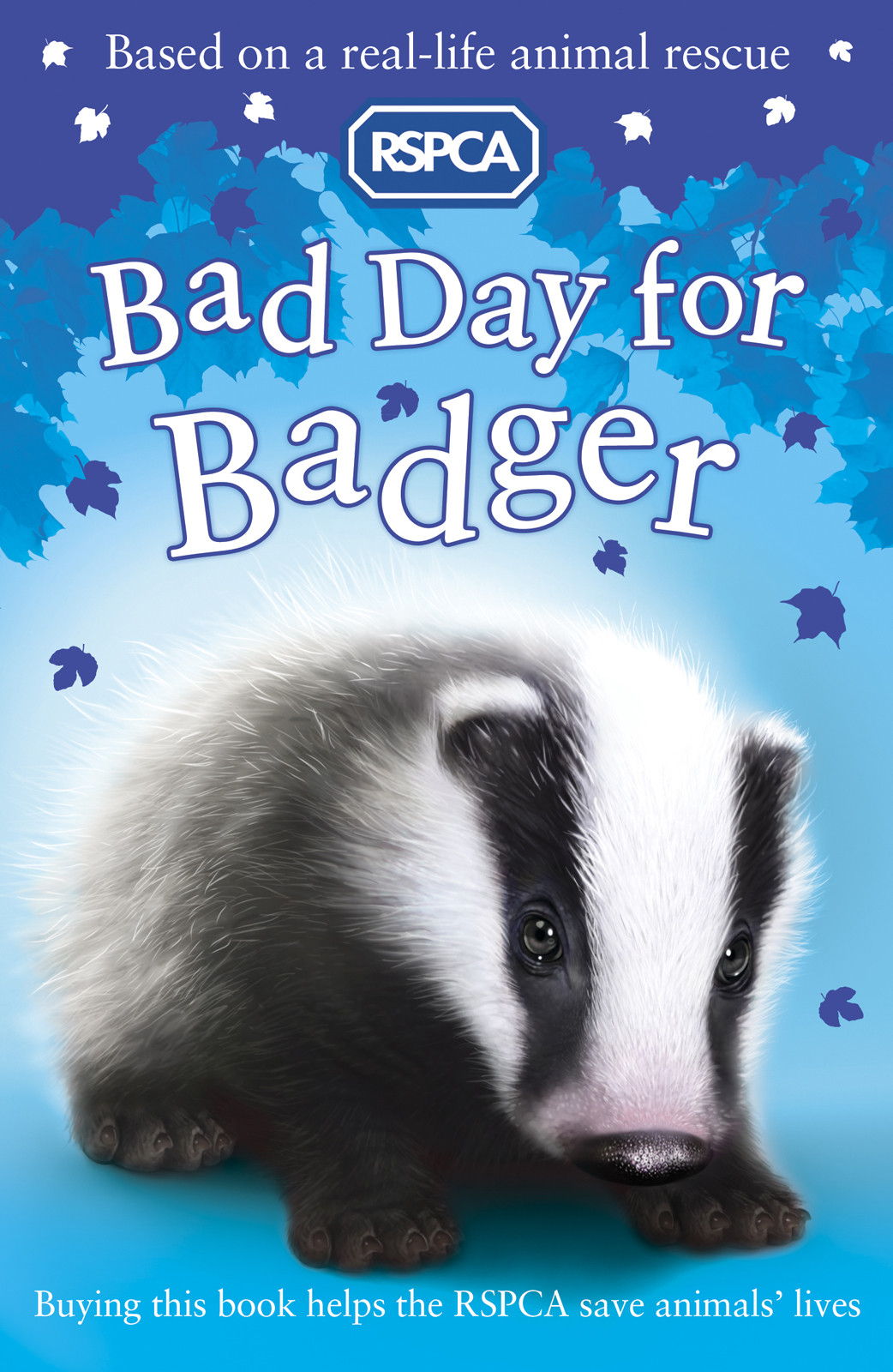 Bad Day For Badger Sarah Hawkins Hawkins Sarah
