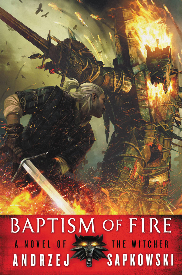 Baptism Of Fire Sapkowski Andrzej French David Translator