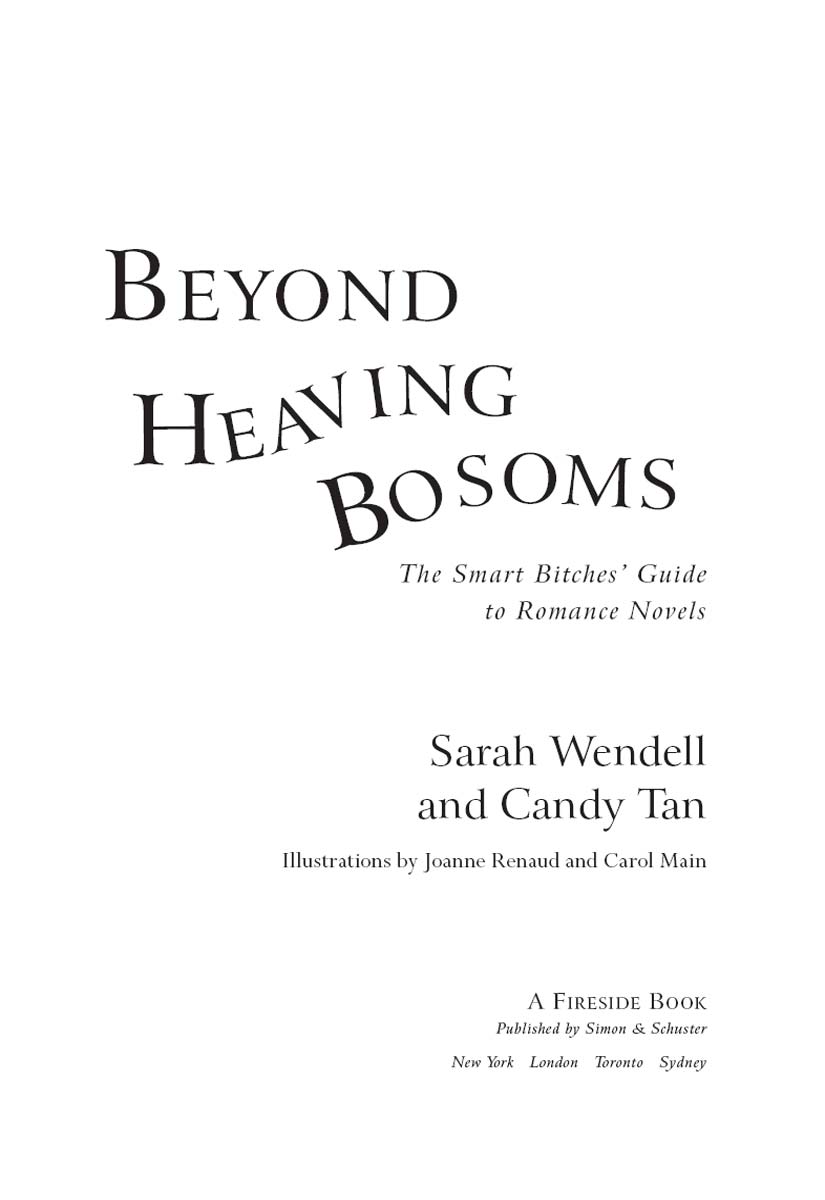 Beyond Heaving Bosoms The Smart Bitches Guide To Romance Novels Wendell Sarah Tan Candy
