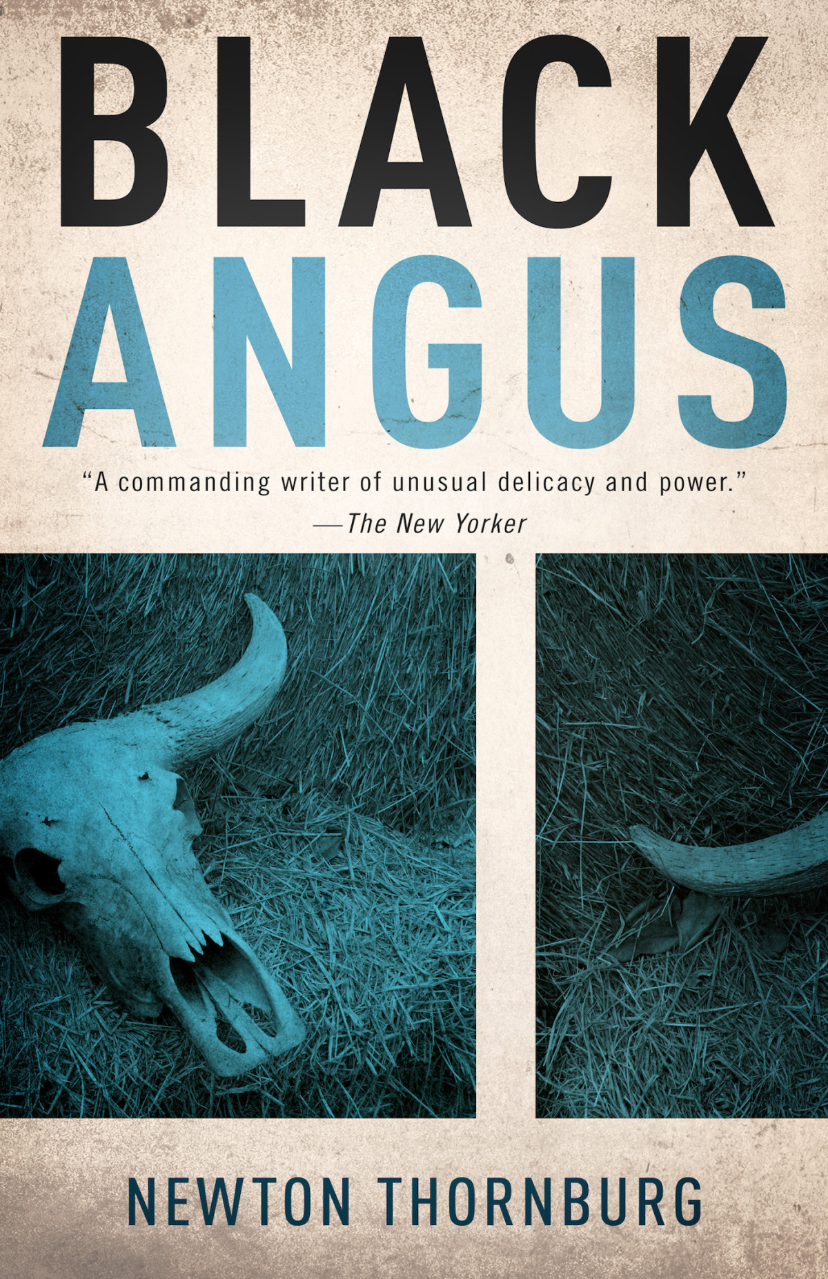 Black Angus Thornburg Newton