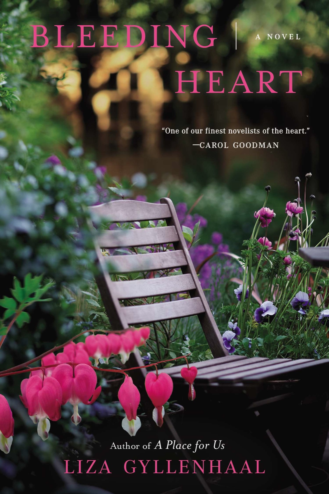 Bleeding Heart Gyllenhaal Liza
