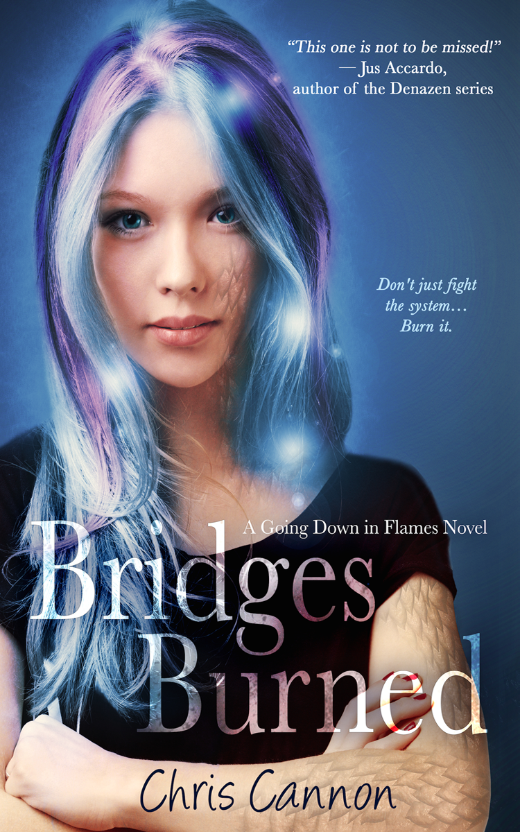 Bridges Burned Cannon Chris
