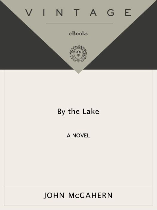 By The Lake A Novel Mcgahern John