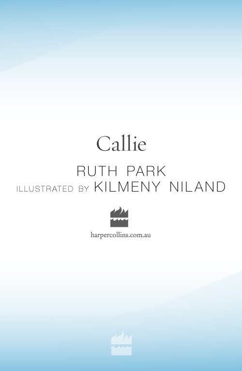 Callie Callies Castle Callies Family Park Ruth