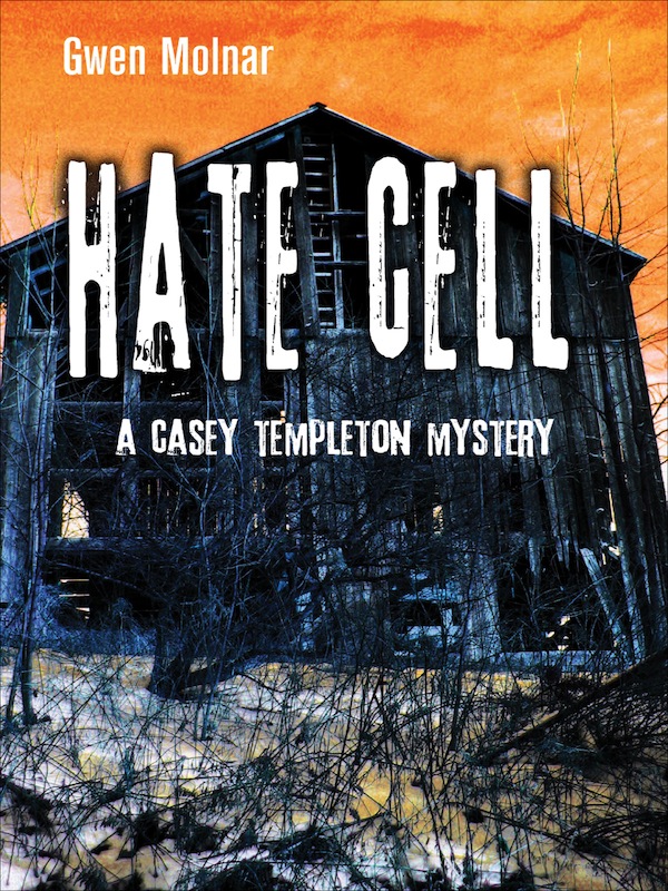 Casey Templeton Mysteries 2book Bundle Box Set Kindle Molnar Gwen
