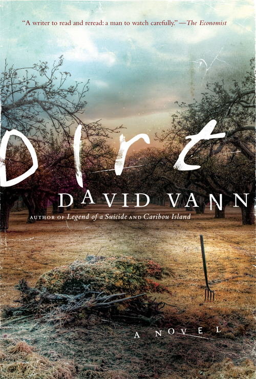 Dirt Vann David