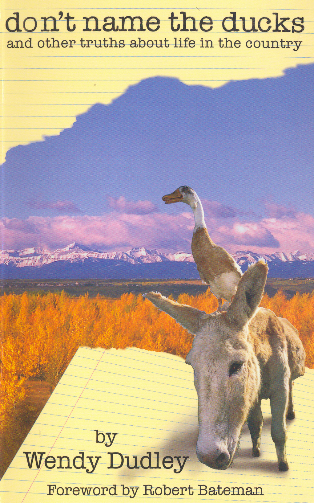 Dont Name The Ducks And Other Truths About Life In The Country Dudley Wendy