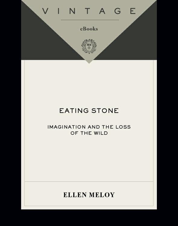Eating Stone Imagination And The Loss Of The Wild Meloy Ellen