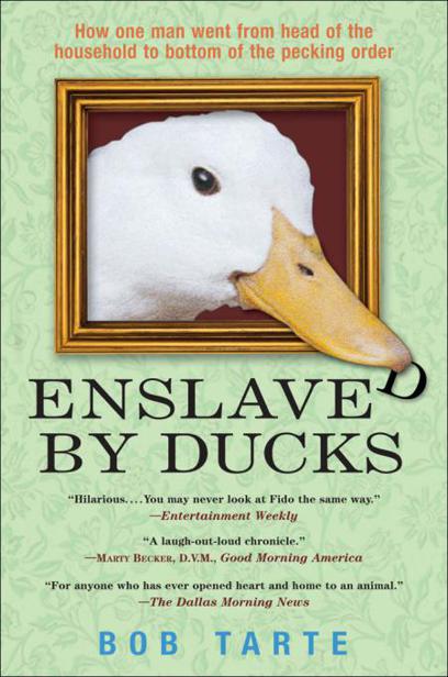 Enslaved By Ducks Tarte Bob