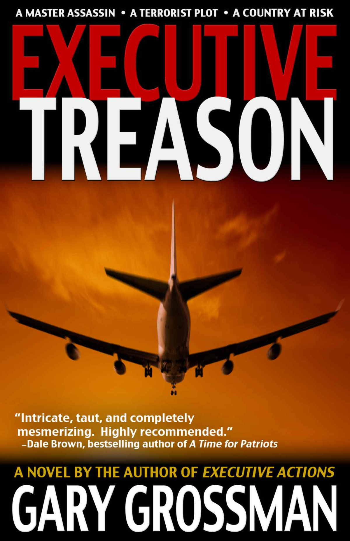 Executive Treason Grossman Gary H