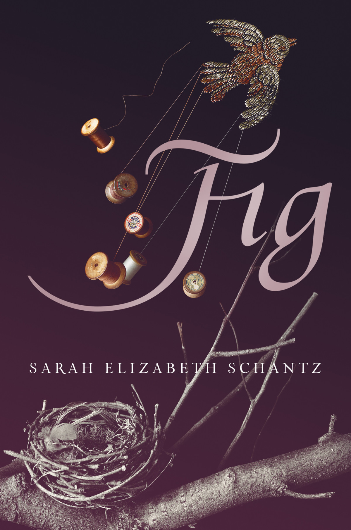 Fig Schantz Sarah Elizabeth