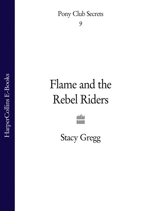 Flame And The Rebel Riders Gregg Stacy