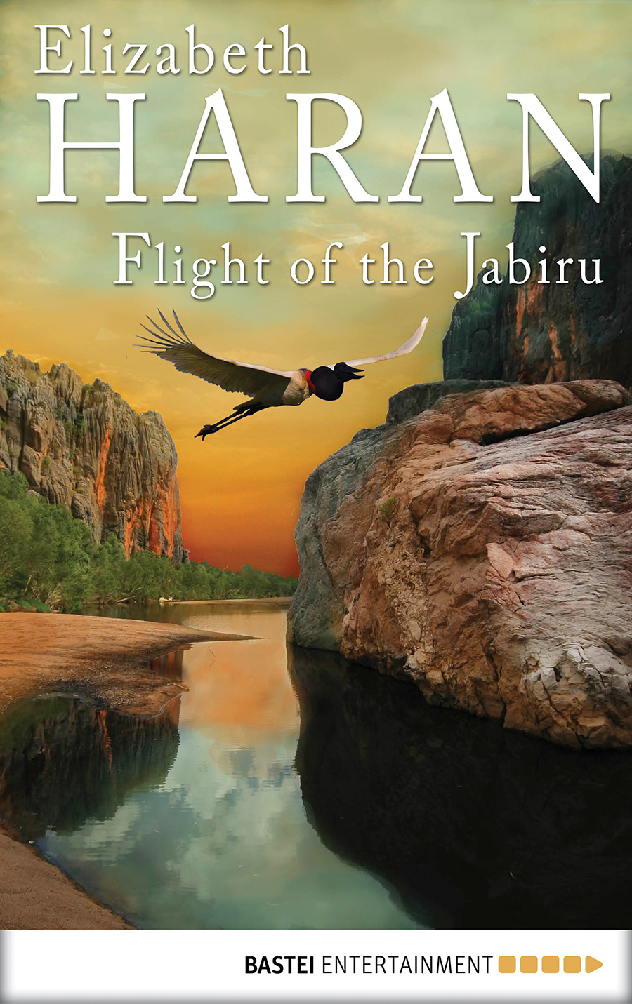 Flight Of The Jabiru Haran Elizabeth
