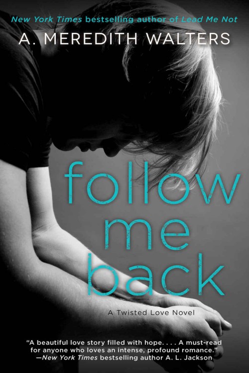 Follow Me Back Walters Meredith A