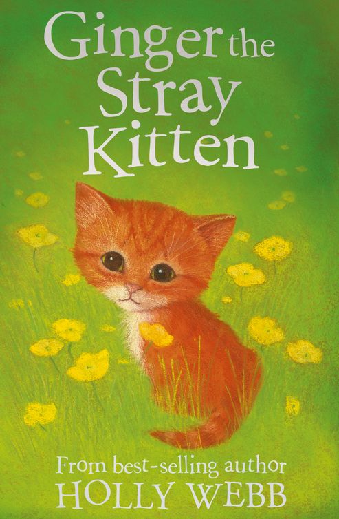 Ginger The Stray Kitten Webb Holly