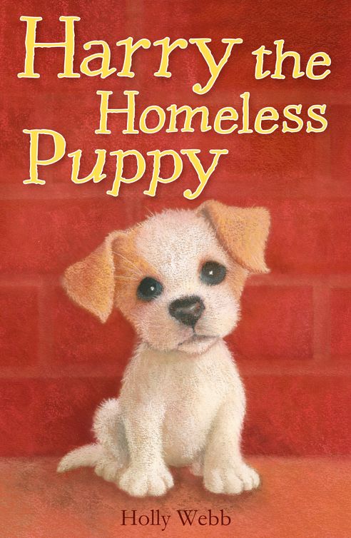 Harry The Homeless Puppy Webb Holly